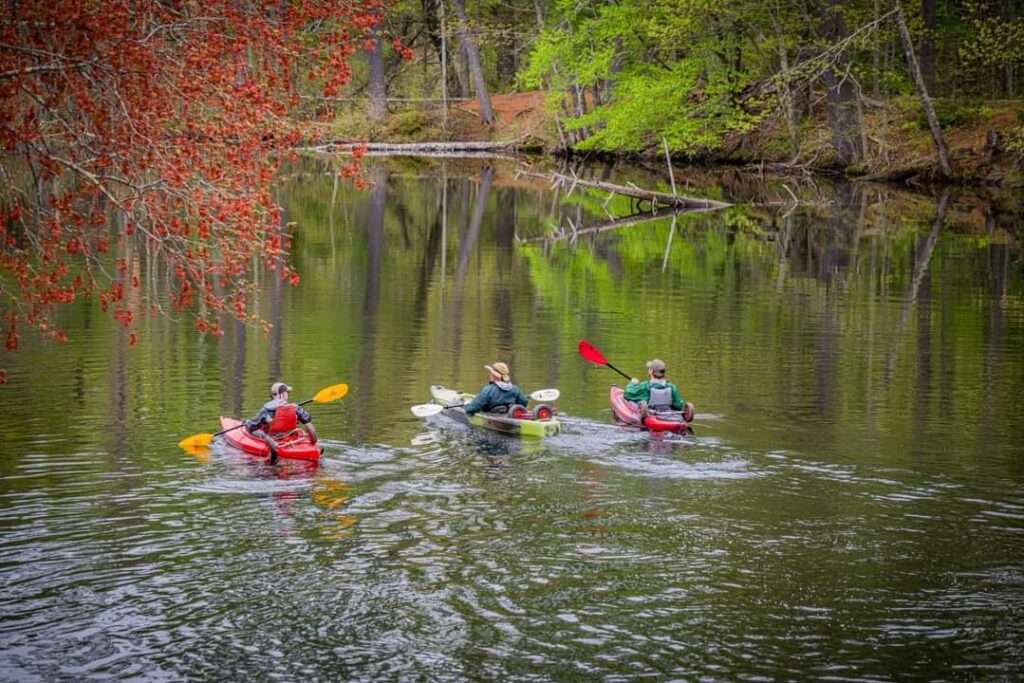 Free-Range Therapy Maine supports nature therapy